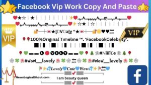 Facebook-VIP-bio