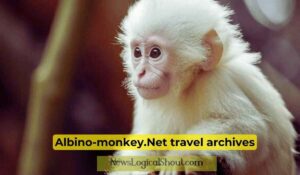 Albino-Monkey.net Travel Archives